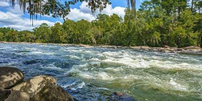 Fly Fishing the Lower Saluda River in Columbia, SC