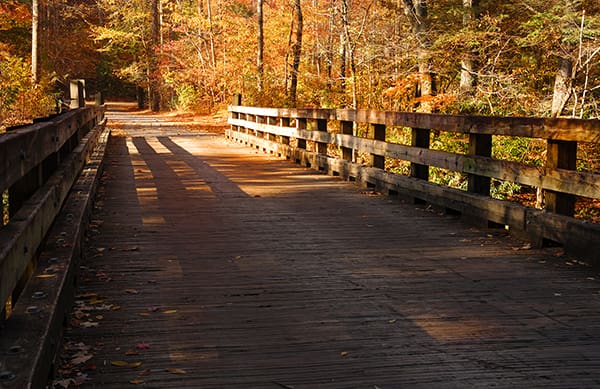 South-Carolinas-Best-Fall-Colors