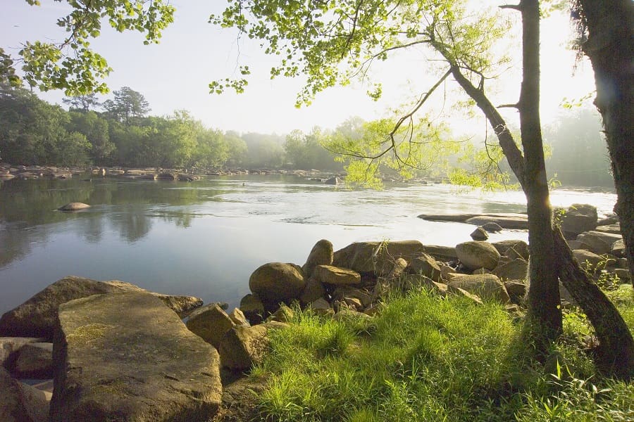 A calm river flows through a lush, green landscape with large rocks on the shore and sunlight filtering through the trees, much like the peaceful environment thoughtfully designed by custom home builders who craft new homes that blend seamlessly with nature.
